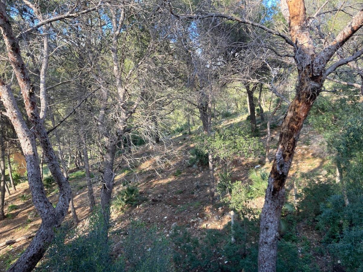 Apartamento Con Vistas Al Mar Castelldefels Kültér fotó